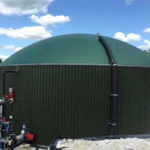 UK biogas power plant 