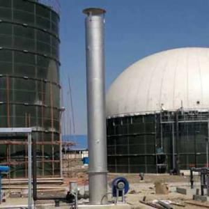 Henan Biogas flare system