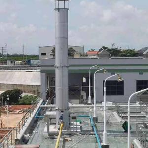 Xinyu biogas flare system