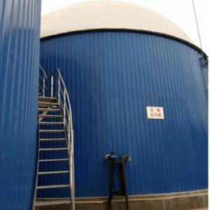 Chicken farm biogas power plant in Henan