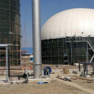 Stainless steel biogas flare 20Nm3/h~5000Nm3/h - 副本